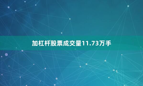 加杠杆股票成交量11.73万手