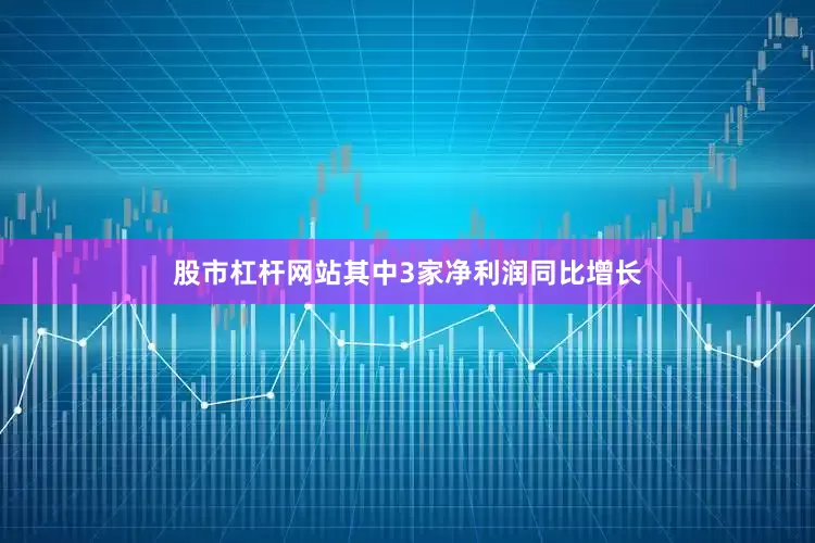 股市杠杆网站其中3家净利润同比增长